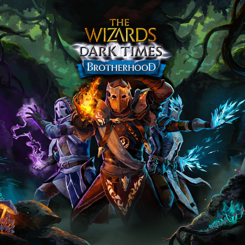 Купить The Wizards: Dark Times Brotherhood VR2 для PS5 П2 П3 дёшево